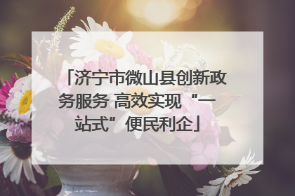 济宁市微山县创新政务服务 高效实现“一站式”便民利企