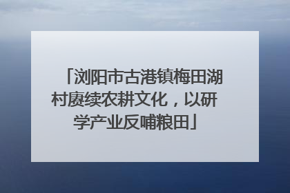 浏阳市古港镇梅田湖村赓续农耕文化，以研学产业反哺粮田