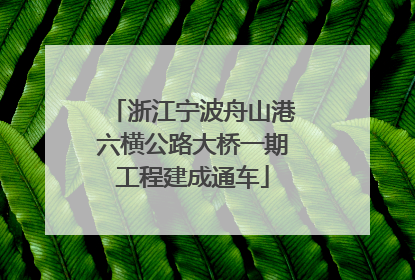 浙江宁波舟山港六横公路大桥一期工程建成通车