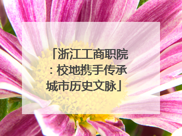 浙江工商职院：校地携手传承城市历史文脉