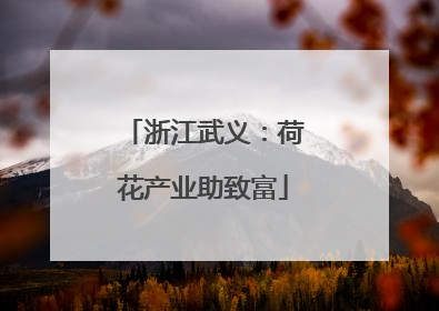 浙江武义：荷花产业助致富