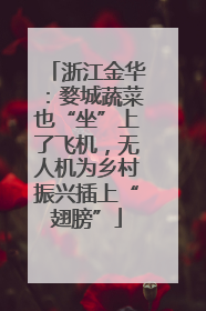 浙江金华：婺城蔬菜也“坐”上了飞机，无人机为乡村振兴插上“翅膀”