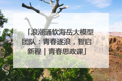 浪潮通软海岳大模型团队：青春逐浪，智启新程｜青春思政课