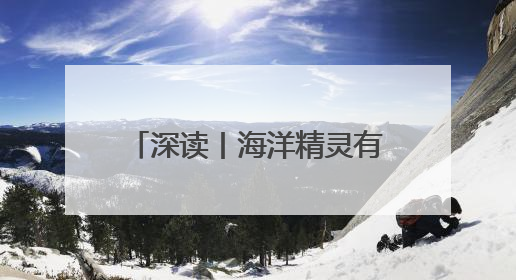 深读丨海洋精灵有了AI“管家”