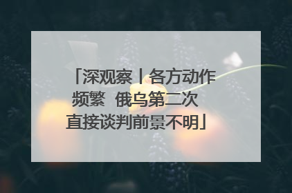 深观察丨各方动作频繁  俄乌第二次直接谈判前景不明