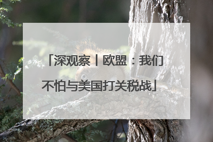 深观察丨欧盟：我们不怕与美国打关税战
