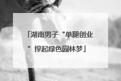 湖南男子“单腿创业”撑起绿色园林梦