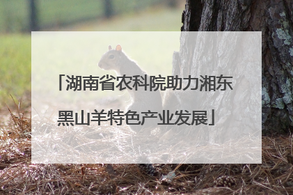 湖南省农科院助力湘东黑山羊特色产业发展
