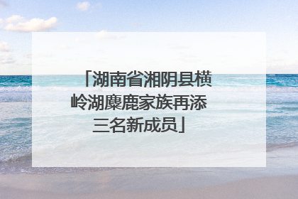 湖南省湘阴县横岭湖麋鹿家族再添三名新成员