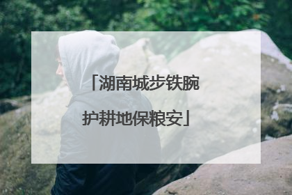 湖南城步铁腕护耕地保粮安