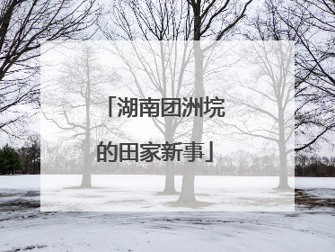 湖南团洲垸的田家新事