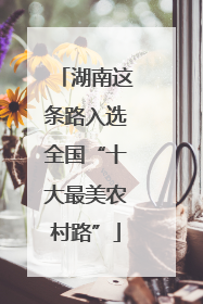 湖南这条路入选全国“十大最美农村路”