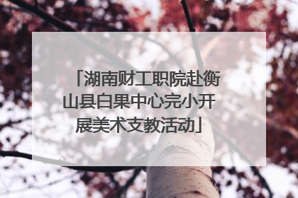 湖南财工职院赴衡山县白果中心完小开展美术支教活动