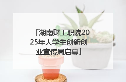 湖南财工职院2025年大学生创新创业宣传周启幕