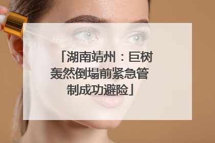 湖南靖州：巨树轰然倒塌前紧急管制成功避险