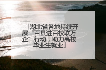 湖北省各地持续开展“百县进百校联万企”行动，助力高校毕业生就业