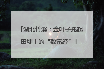 湖北竹溪：金叶子托起田埂上的“致富经”