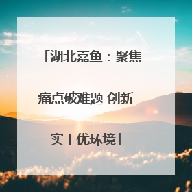 湖北嘉鱼：聚焦痛点破难题 创新实干优环境