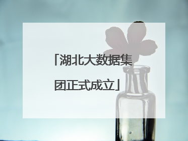 湖北大数据集团正式成立