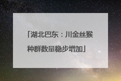湖北巴东：川金丝猴种群数量稳步增加