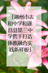 湖州市志和中学和遂昌县第三中学携手打造体教融合实践新样板
