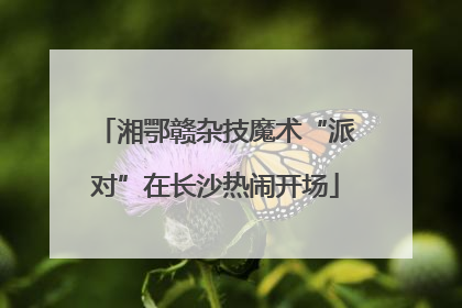 湘鄂赣杂技魔术“派对”在长沙热闹开场