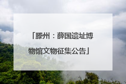 滕州：薛国遗址博物馆文物征集公告