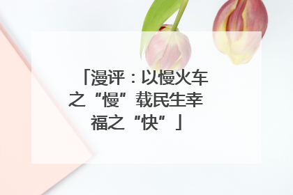 漫评：以慢火车之“慢”载民生幸福之“快”