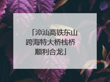 漳汕高铁东山跨海特大桥栈桥顺利合龙