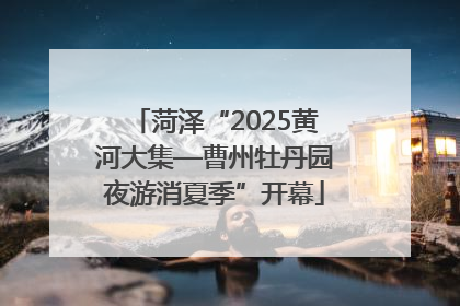 菏泽“2025黄河大集—曹州牡丹园夜游消夏季”开幕