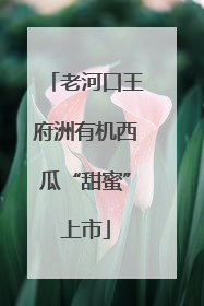 老河口王府洲有机西瓜“甜蜜”上市
