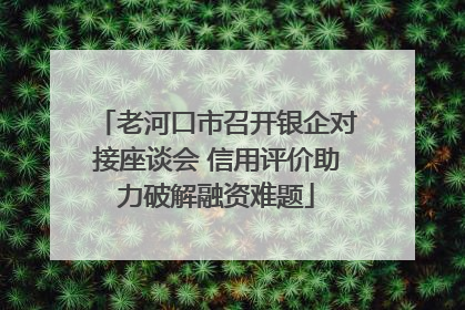 老河口市召开银企对接座谈会 信用评价助力破解融资难题