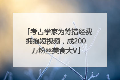 考古学家为筹措经费拥抱短视频，成200万粉丝美食大V