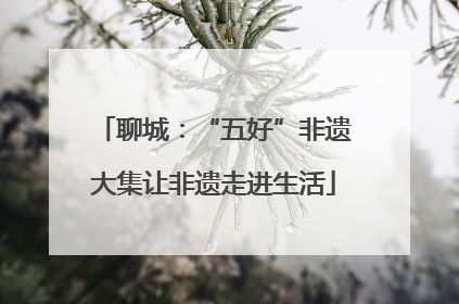 聊城：“五好”非遗大集让非遗走进生活