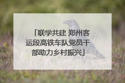 联学共建 郑州客运段高铁车队党员干部助力乡村振兴