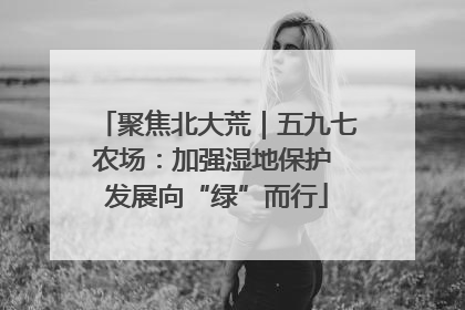 聚焦北大荒｜五九七农场：加强湿地保护 发展向“绿”而行