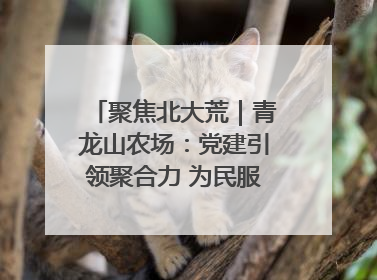 聚焦北大荒｜青龙山农场：党建引领聚合力 为民服务践初心