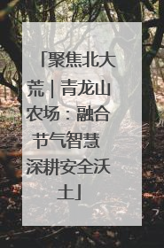 聚焦北大荒｜青龙山农场：融合节气智慧 深耕安全沃土