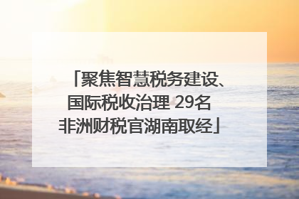 聚焦智慧税务建设、国际税收治理 29名非洲财税官湖南取经