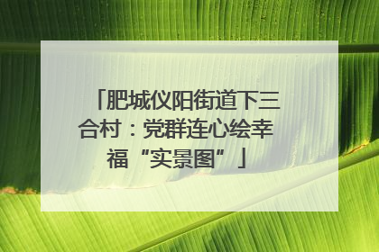 肥城仪阳街道下三合村：党群连心绘幸福“实景图”