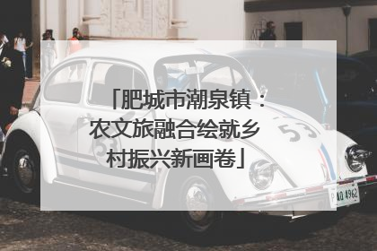 肥城市潮泉镇：农文旅融合绘就乡村振兴新画卷