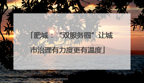 肥城：“双服务圈”让城市治理有力度更有温度