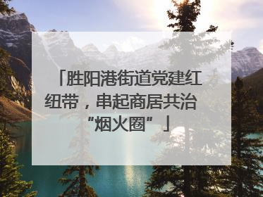 胜阳港街道党建红纽带，串起商居共治 “烟火圈”