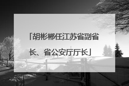 胡彬郴任江苏省副省长、省公安厅厅长