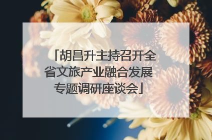 胡昌升主持召开全省文旅产业融合发展专题调研座谈会