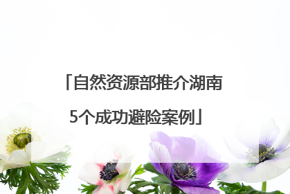 自然资源部推介湖南5个成功避险案例