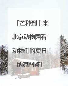 芒种到丨来北京动物园看动物们的夏日纳凉图鉴