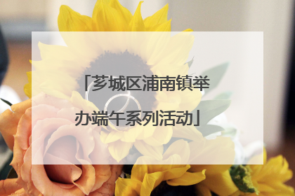 芗城区浦南镇举办端午系列活动
