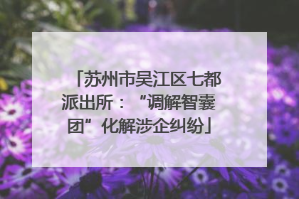苏州市吴江区七都派出所：“调解智囊团”化解涉企纠纷