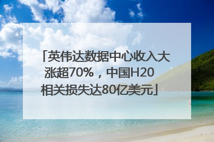 英伟达数据中心收入大涨超70%，中国H20相关损失达80亿美元